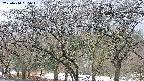 takano3-20250414055043.jpg