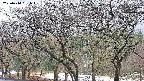 takano3-20250414061044.jpg