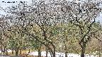 takano3-20250414065046.jpg