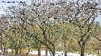 takano3-20250414070044.jpg