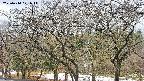 takano3-20250414071042.jpg