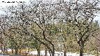 takano3-20250414075043.jpg
