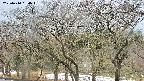 takano3-20250414090044.jpg