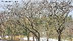 takano3-20250414091044.jpg