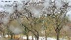takano3-20250414095043.jpg