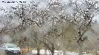 takano3-20250414102042.jpg