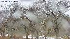 takano3-20250414134045.jpg