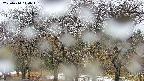 takano3-20250414140043.jpg