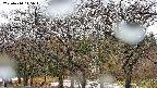 takano3-20250414145044.jpg
