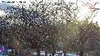 takano3-20250414173045.jpg