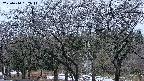 takano3-20250414182045.jpg