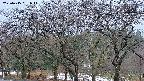 takano3-20250415051042.jpg