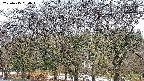 takano3-20250415054044.jpg