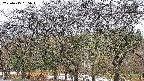 takano3-20250415055044.jpg