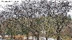 takano3-20250415061042.jpg