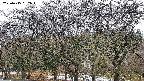 takano3-20250415062044.jpg