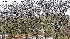takano3-20250415064044.jpg