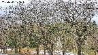 takano3-20250415075046.jpg