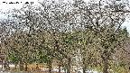 takano3-20250415090046.jpg