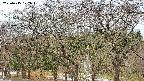 takano3-20250415102044.jpg