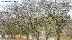 takano3-20250415103047.jpg