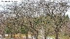 takano3-20250415111047.jpg
