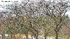 takano3-20250415121045.jpg