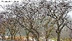 takano3-20250415132046.jpg