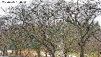 takano3-20250415134046.jpg