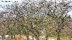 takano3-20250415151044.jpg