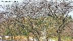 takano3-20250415153045.jpg