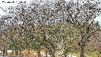 takano3-20250415155045.jpg
