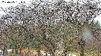 takano3-20250415161045.jpg