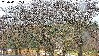takano3-20250415162044.jpg