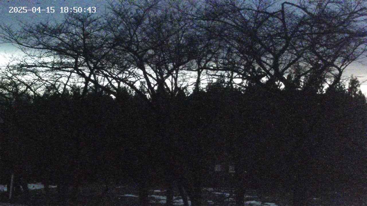 takano3-20250415185043.jpg