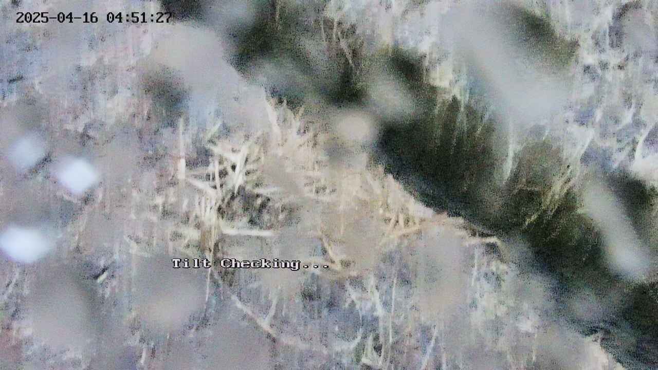 takano3-20250416045128.jpg
