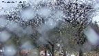 takano3-20250416050042.jpg