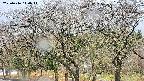 takano3-20250416110045.jpg