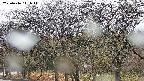 takano3-20250416141045.jpg