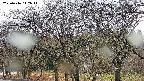 takano3-20250416142046.jpg