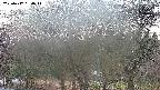 takano3-20250417050043.jpg