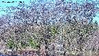 takano3-20250417063043.jpg
