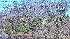 takano3-20250417064044.jpg