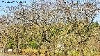takano3-20250417074045.jpg