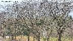 takano3-20250417161045.jpg