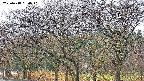 takano3-20250418060041.jpg