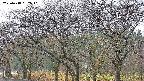 takano3-20250418062041.jpg