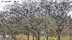 takano3-20250418063043.jpg
