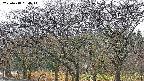 takano3-20250418064043.jpg
