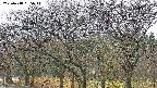 takano3-20250418065043.jpg